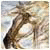 alenceflabego's Avatar