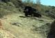 Dezert Rover's Avatar