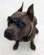oysterhead's Avatar