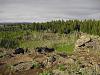 Pine Butte Craters: Desert Oasis in Nowhere, Idaho-cimg1530.jpg