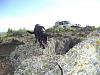 Pine Butte Craters: Desert Oasis in Nowhere, Idaho-cimg1537.jpg