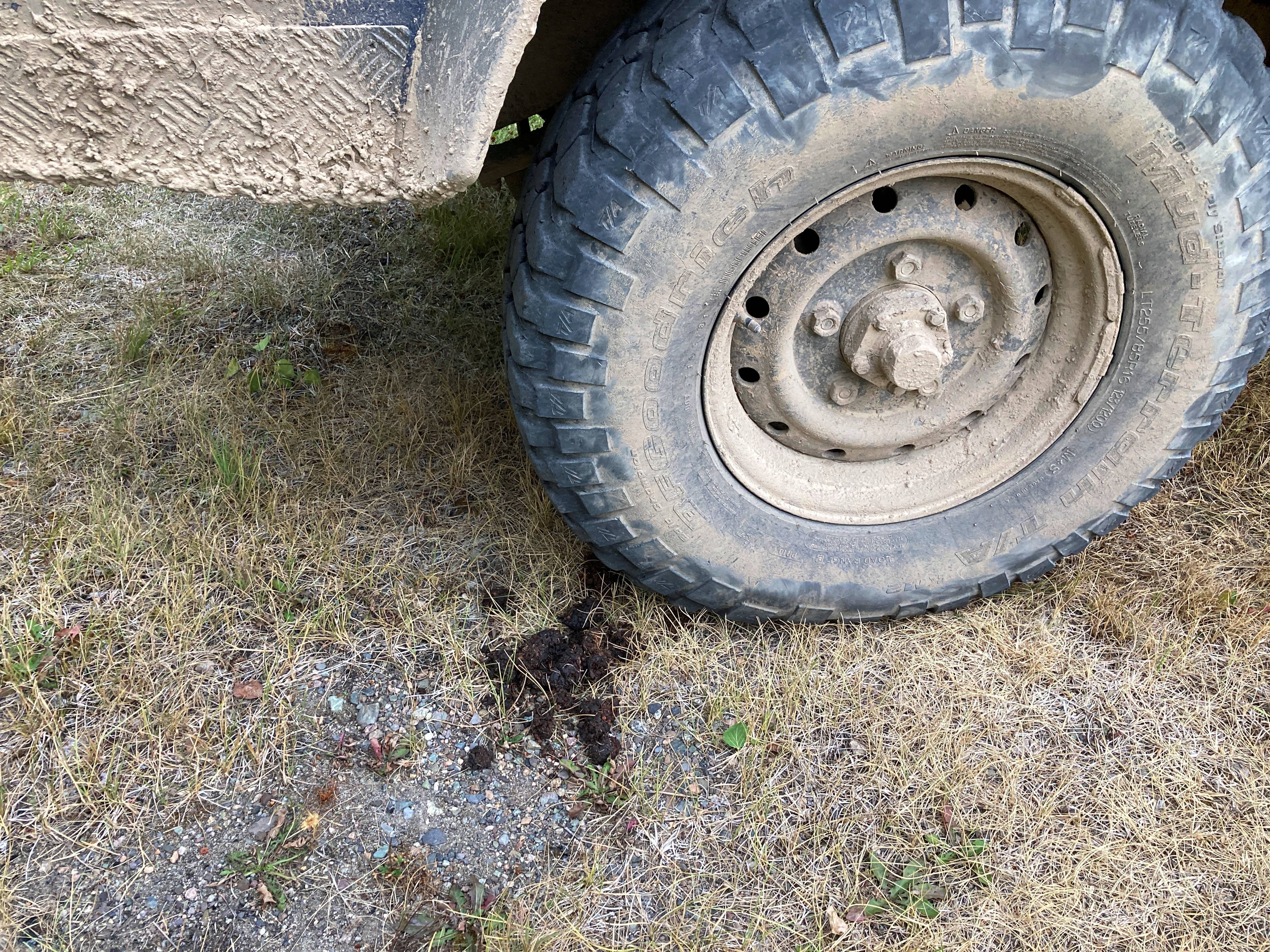 Name:  EOhyqCV.jpg
Views: 83
Size:  3.01 MB