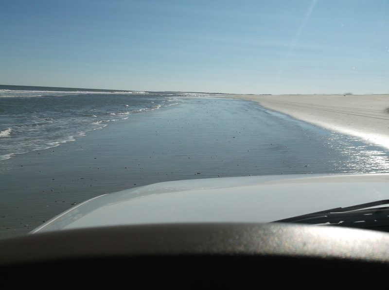 Name:  DSCF4722_zpsusczj4gj.jpg
Views: 161
Size:  346.3 KB