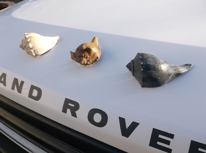 Name:  DSCF4725_zpskiogwixg.jpg
Views: 170
Size:  345.0 KB