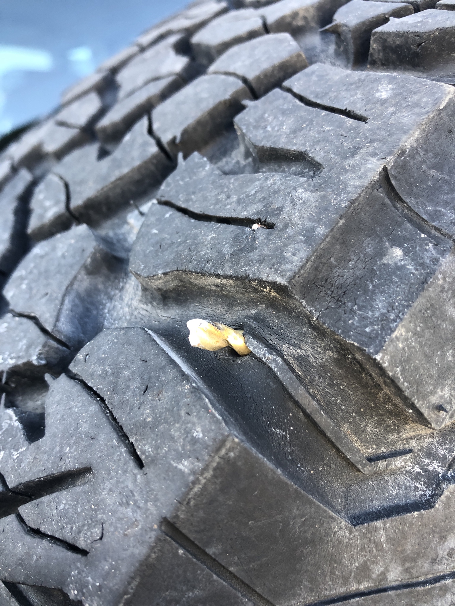 Name:  NXNLPXh.jpg
Views: 92
Size:  1.18 MB