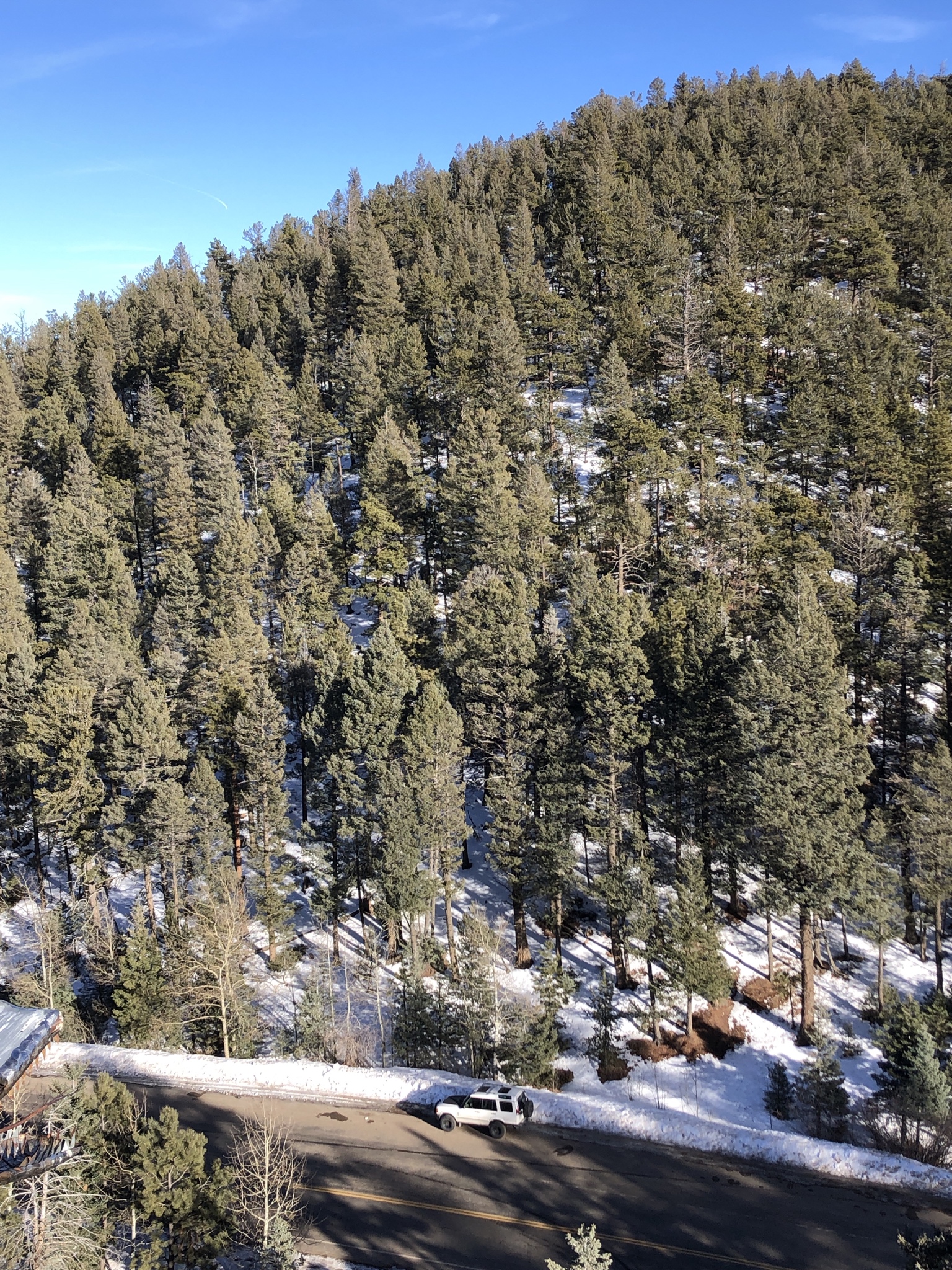 Name:  EXC8Xaf.jpg
Views: 38
Size:  1.81 MB