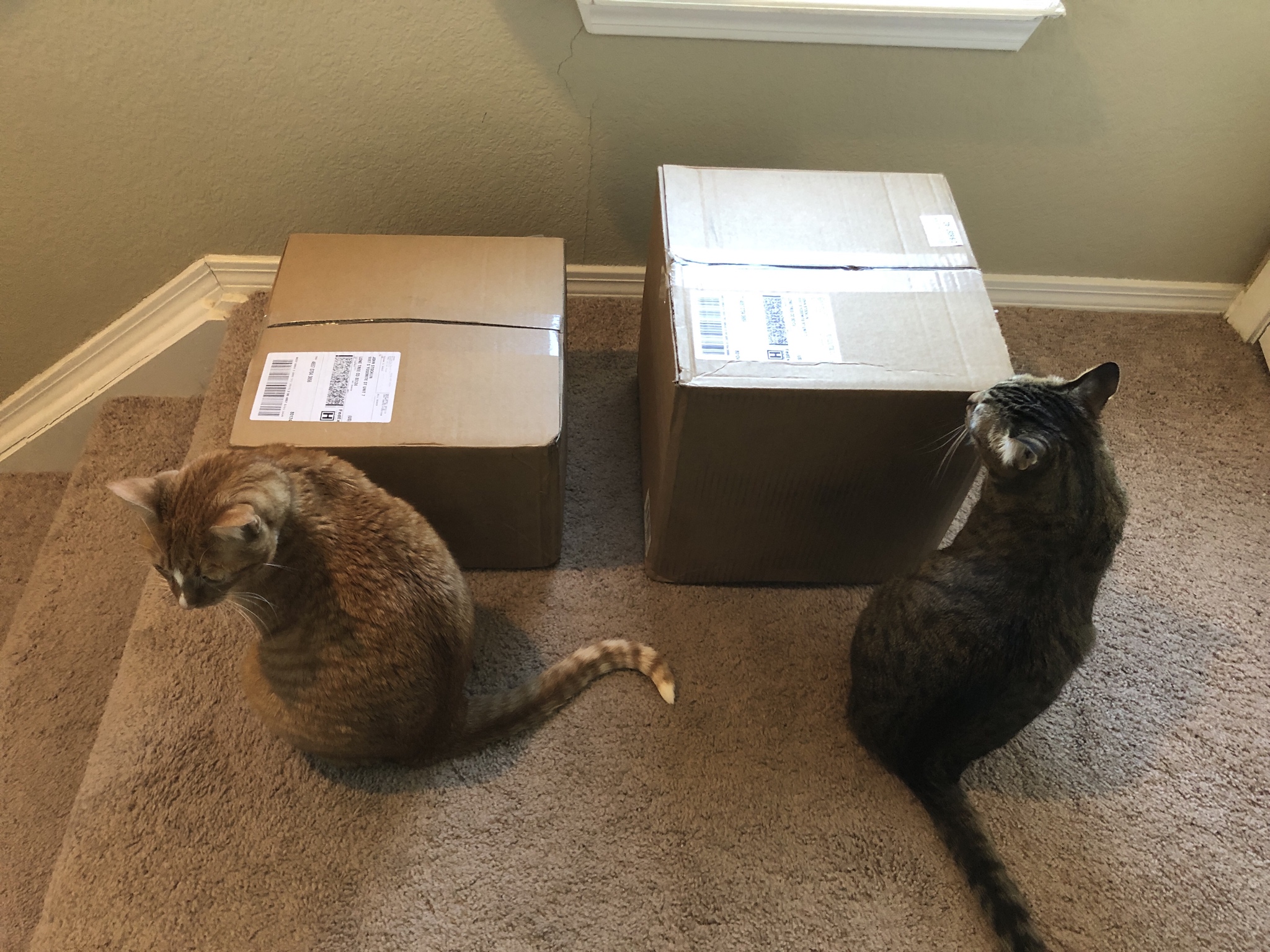 Name:  9FsWi5y.jpg
Views: 45
Size:  1.09 MB