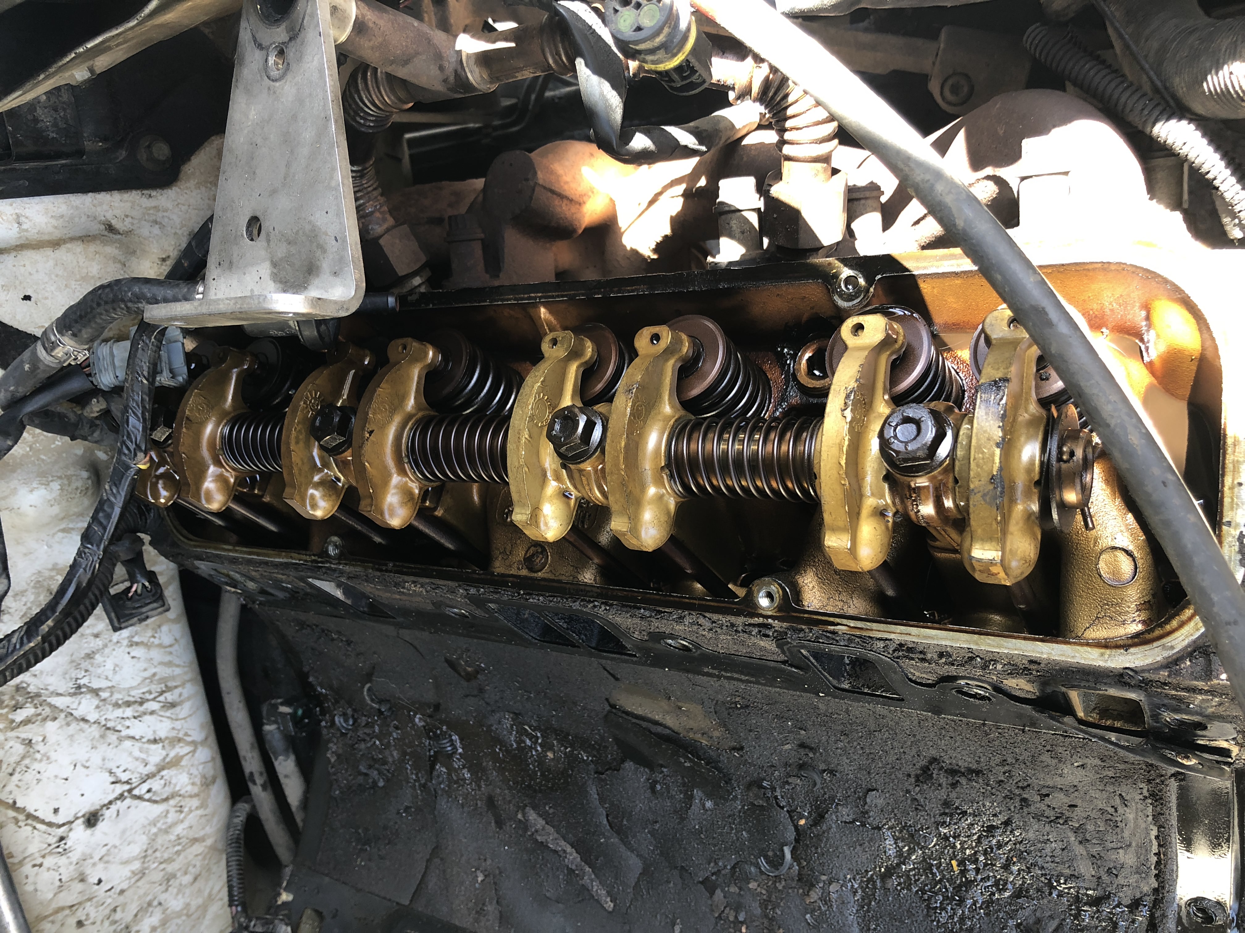 Name:  ZE1b2Fb.jpg
Views: 56
Size:  2.04 MB