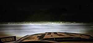 Black Betty #2-416453896_178423532031603_1332538936438185322_n.jpg