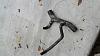 radiator pipe-lower-rad-pipe.jpg