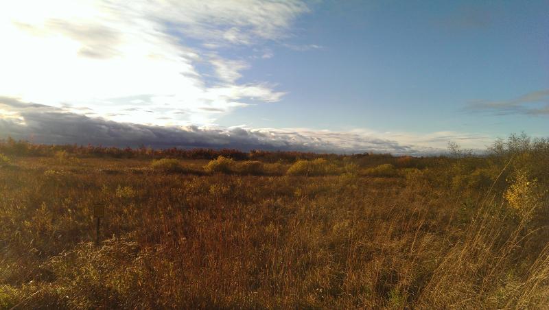 Name:  IMAG2279_zpsmis9h3jl.jpg
Views: 132
Size:  54.8 KB