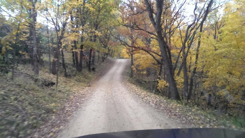 Name:  IMAG2230_zpskk6plwwo.jpg
Views: 87
Size:  73.0 KB