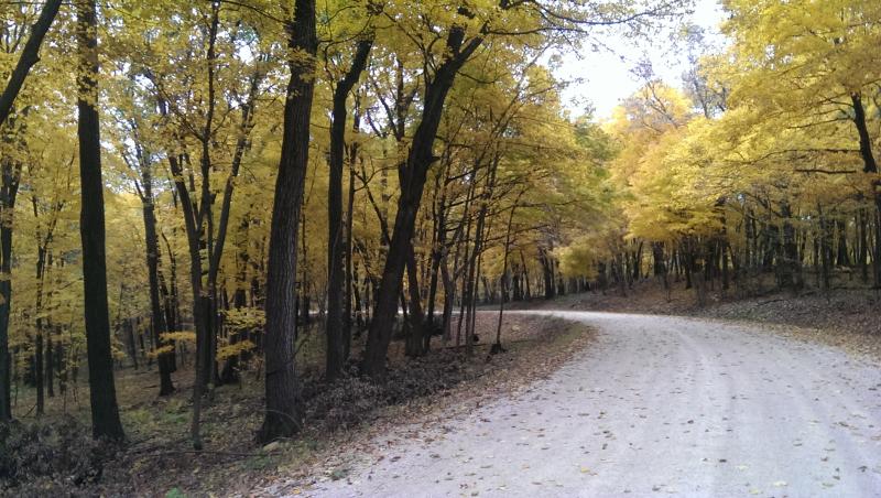 Name:  IMAG2243_zpsstwzw4f7.jpg
Views: 83
Size:  89.5 KB