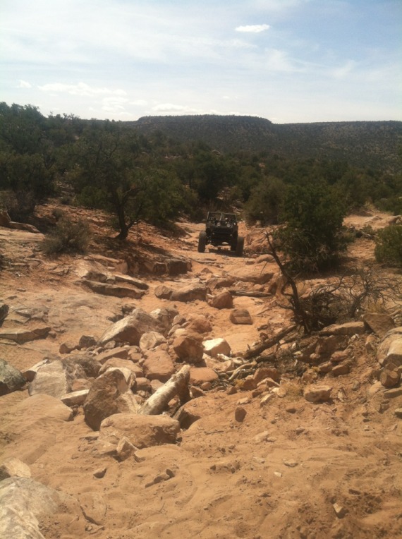 Name:  00357946-ACC3-455B-8B3B-CE9D90F25F1D-537-000000AC578296FB_zpsa53b1a18.jpg
Views: 247
Size:  129.8 KB