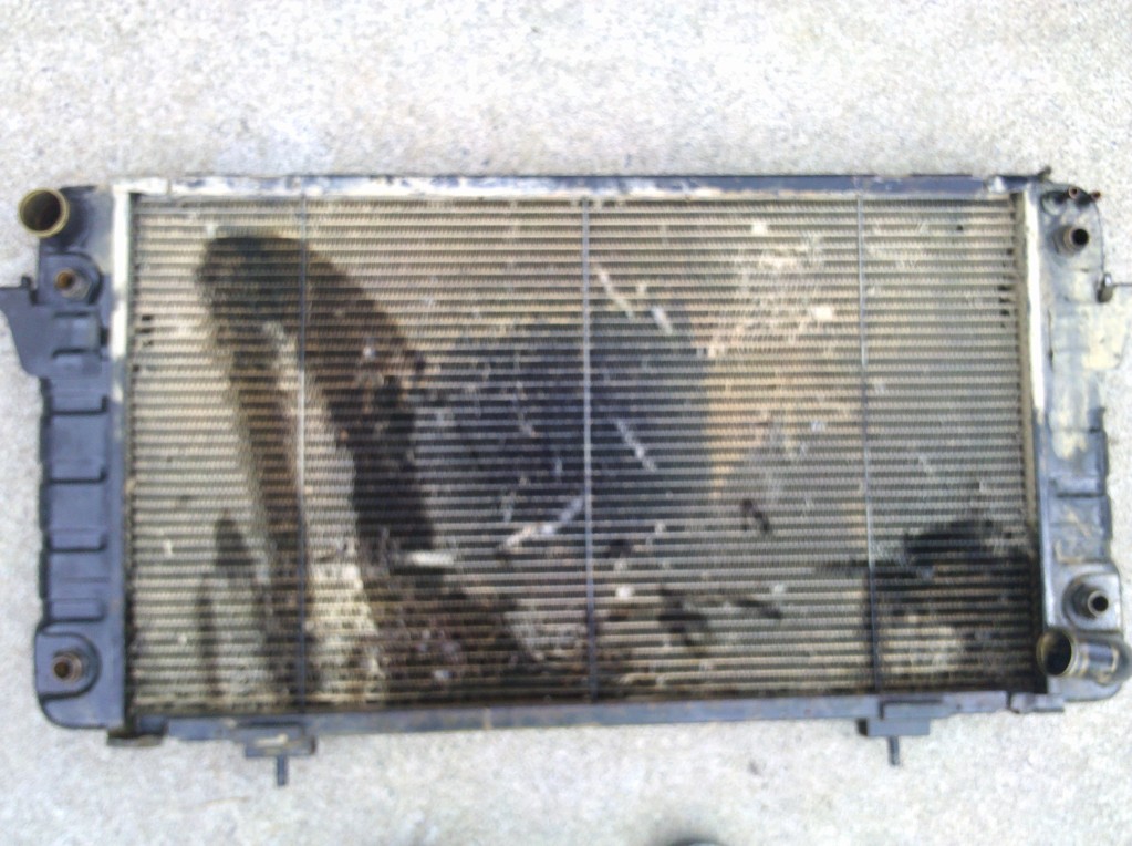 Name:  IMG_20120804_121737.jpg
Views: 151
Size:  208.8 KB