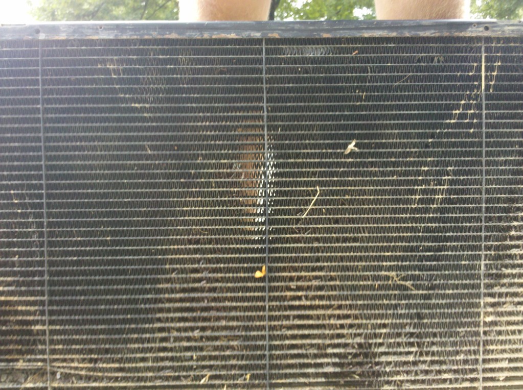 Name:  IMG_20120804_121753.jpg
Views: 88
Size:  286.5 KB