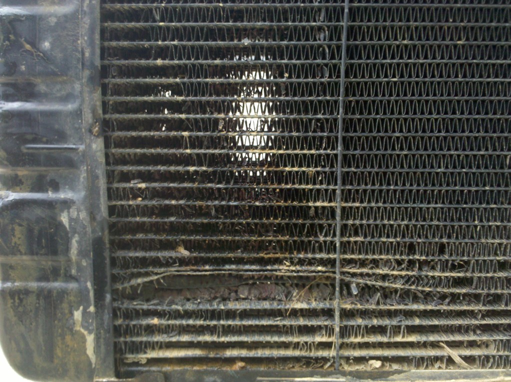 Name:  IMG_20120804_121816.jpg
Views: 105
Size:  278.3 KB