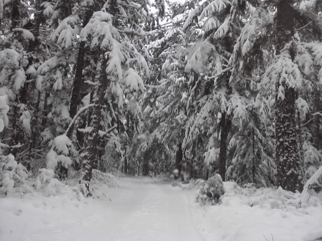 Name:  P01-16-12_15-121.jpg
Views: 117
Size:  74.2 KB