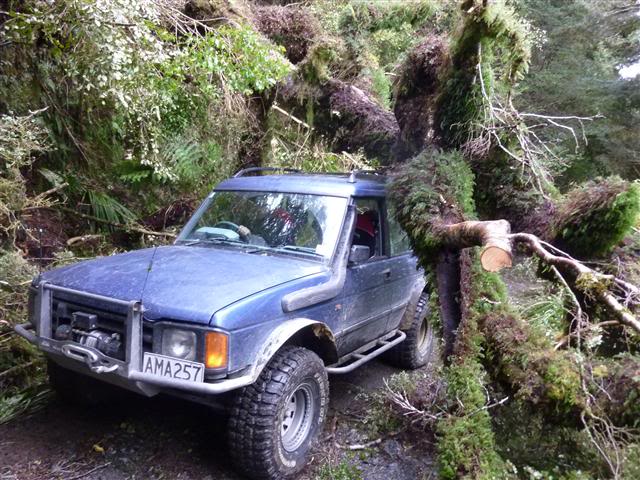 Name:  P1050629Small.jpg
Views: 55
Size:  85.2 KB