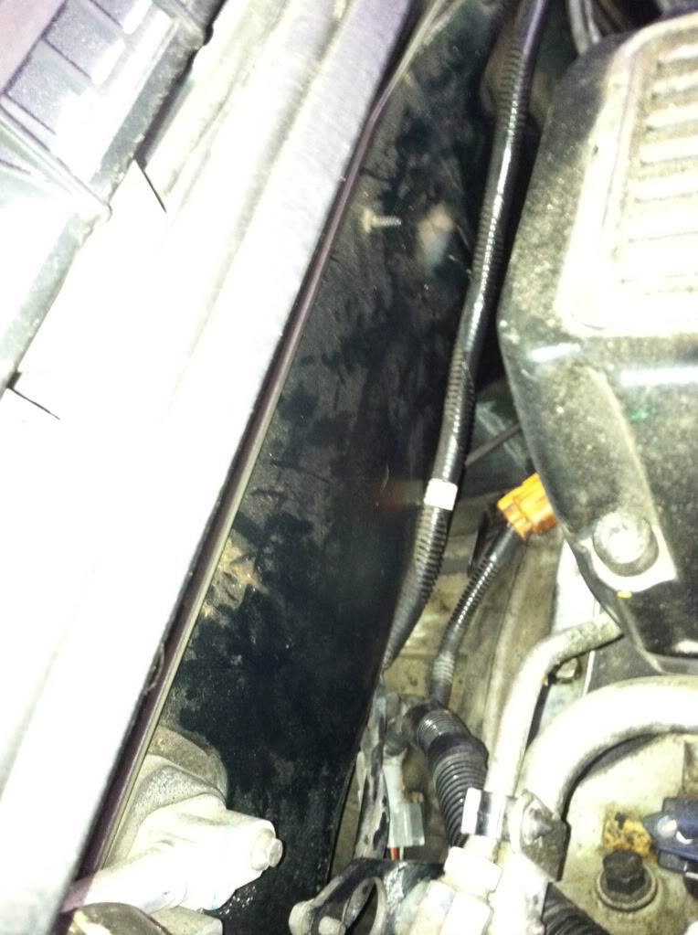 Name:  IMG_0382.jpg
Views: 56
Size:  111.3 KB