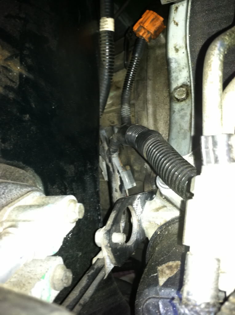 Name:  IMG_0381.jpg
Views: 53
Size:  95.8 KB