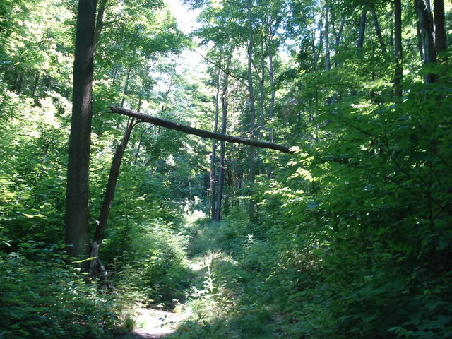 Name:  DSC00602.jpg
Views: 57
Size:  132.4 KB