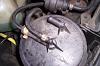 Hose from Charcoal canister, where does it go?-100_0688.jpg