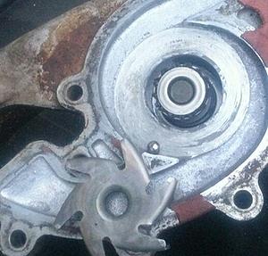 Damaged Fan Clutch and more?-bad-water-pump-bad-.jpg