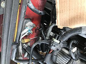 What am I missing?-img_3875.jpg