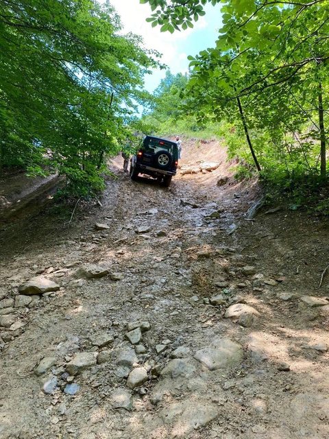 Name:  qyZT9eQl.jpg
Views: 19
Size:  126.6 KB