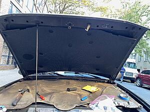 So what did you do to your Disco today?-hood.jpg