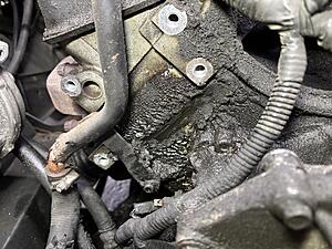 Head gasket at 237,000-img_2836.jpg