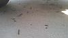 HELP !!!, Part shredded near fan!!!-img_20120922_151825_156.jpg
