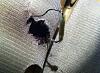 Seat Heater Temp Fix?...-img_0179.jpg