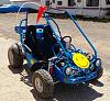 What did you do with your DII today?-kart1.jpg