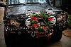 All decorated for Christmas!-car-2.jpg