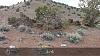 Hungry valley ohv clean up-image-3789043459.jpg