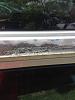 New Roof with Truckbed liner-roofline-rust-3.jpg