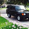 LR Disco II-photo-1.jpg