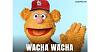 What i am doing today-wa.jpg