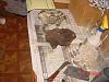 Front HUB Assembly and brake issues-disco-april-2-2010-011.jpg
