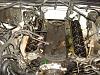 Pulling heads in the morning, picture included-dsc03155.jpg