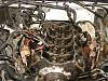 Pulling heads in the morning, picture included-dsc03156.jpg