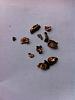 Chunks of copper in my oil drain pan when draining my Transfer case.-copper-bits.jpg