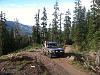 Coming together-img_1352.jpg