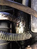 Discovery 2 transmission cooler replace-unnamed.jpg