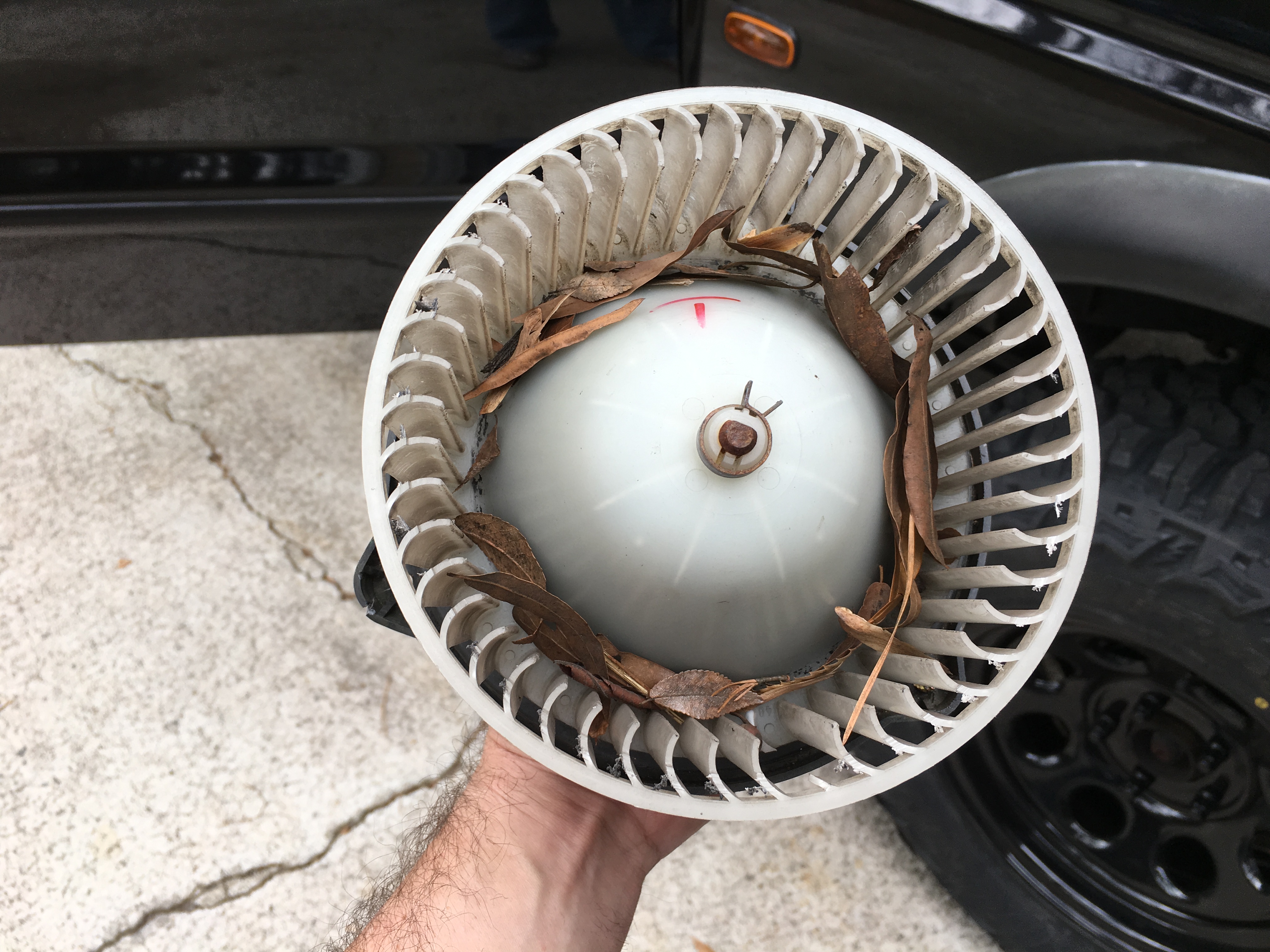 Name:  E01F2674-6129-4C71-AD42-EBE4031F49FB_zpskxwer54m.jpg
Views: 247
Size:  2.20 MB