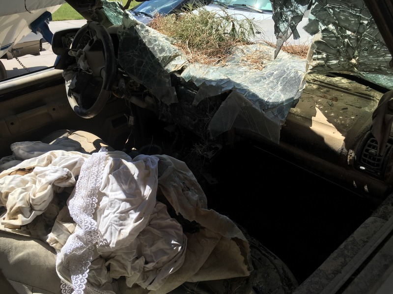 Name:  IMG_19451_zpsfbowbate.jpg
Views: 156
Size:  148.1 KB