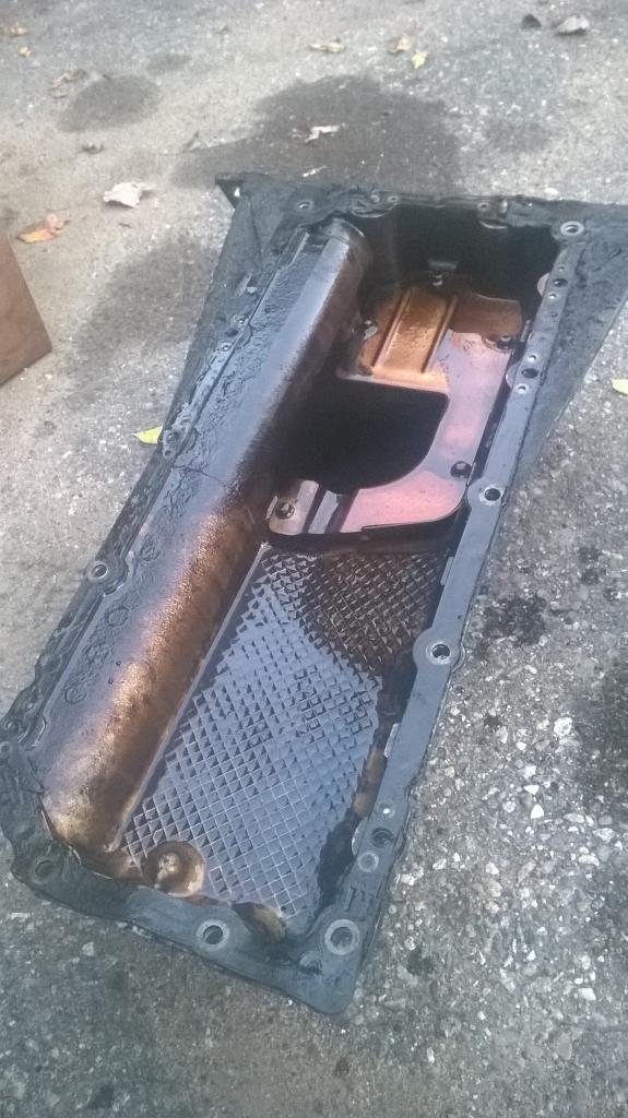 Name:  WP_20141005_038_zps98f5f4e5.jpg
Views: 2085
Size:  104.0 KB