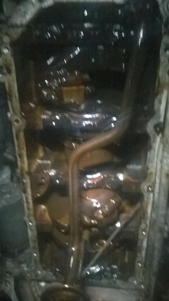 Name:  WP_20141005_042_zps563574ff.jpg
Views: 2109
Size:  57.3 KB